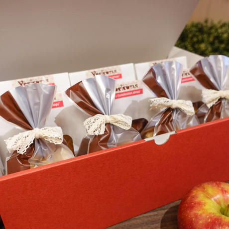 よしこたんのアップルパイ　選べるアソート1種6個＋焼き菓子4個セット